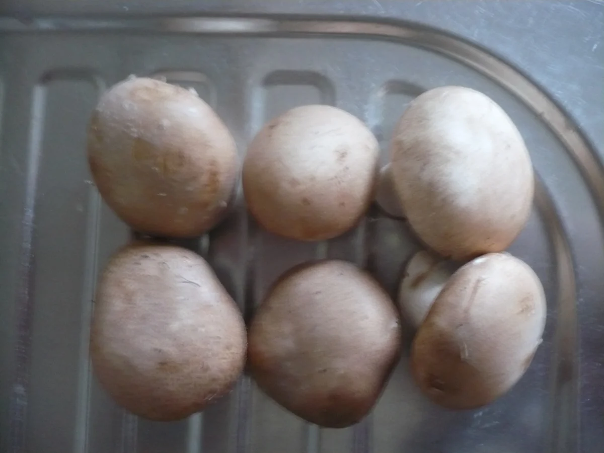 Spaghettikürbis mit Geschnetzeltem - Rezept - Bild Nr. 16833