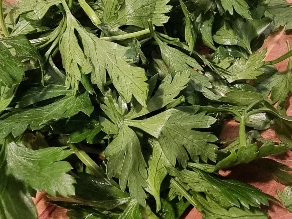 Risotto-Reis-Puffer mit Kräuterquark - Rezept - Bild Nr. 16845