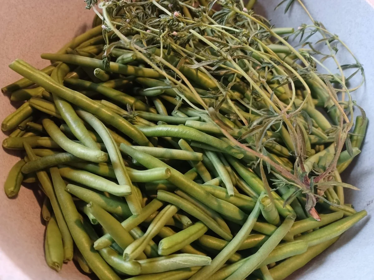 Grüne Bohnen Eintopf - Rezept - Bild Nr. 6