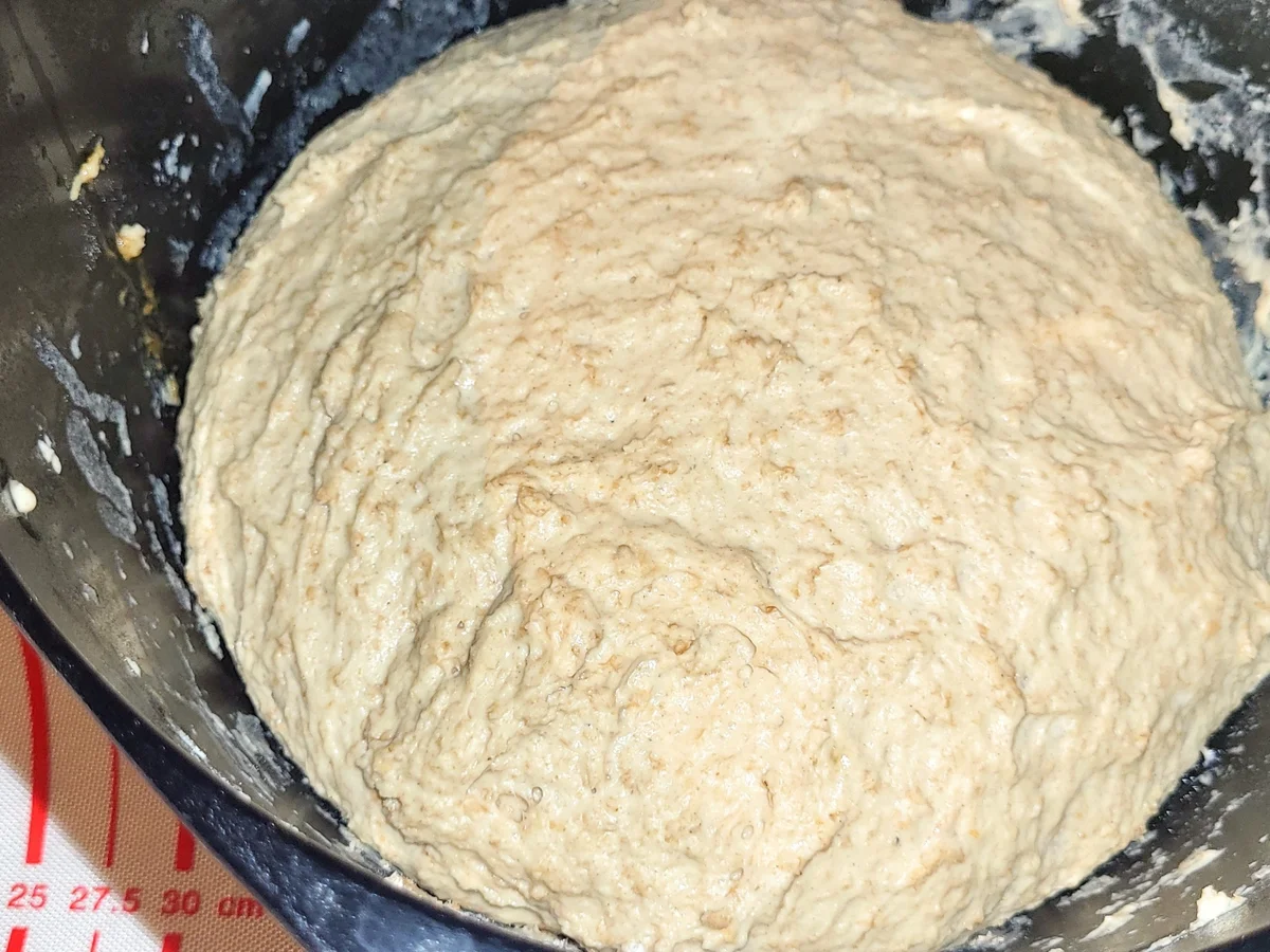 BiNe` S DINKELBRÖTCHEN - Rezept - Bild Nr. 3