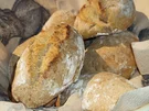 BiNe` S DINKELBRÖTCHEN - Rezept - Bild Nr. 5
