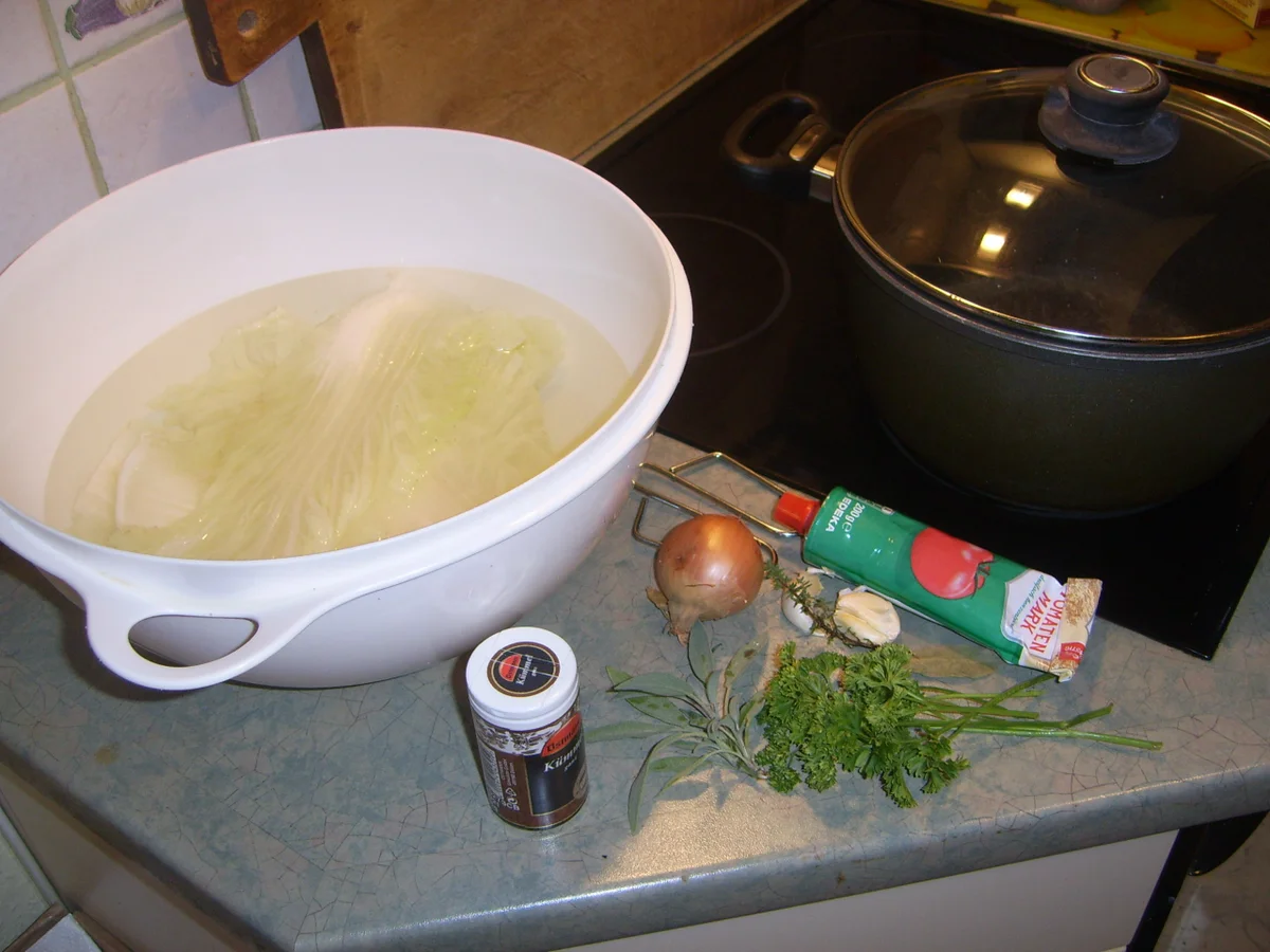 Spitzkohl-Rouladen - Rezept - Bild Nr. 16845