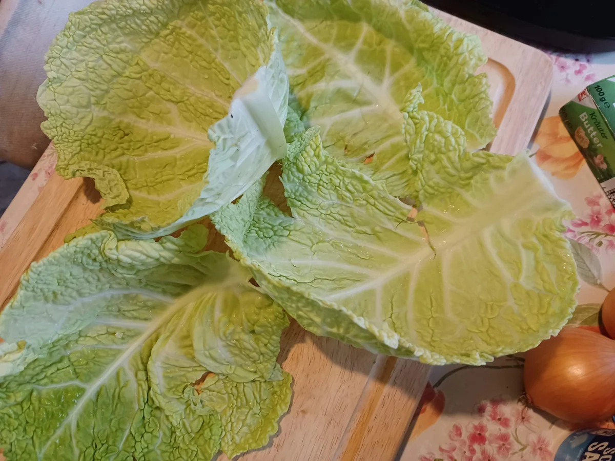 Lasagne mit Wirsing - Rezept - Bild Nr. 16849