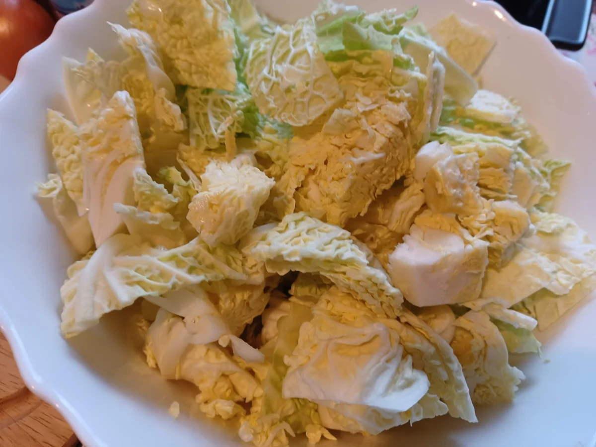 Lasagne mit Wirsing - Rezept - Bild Nr. 16850