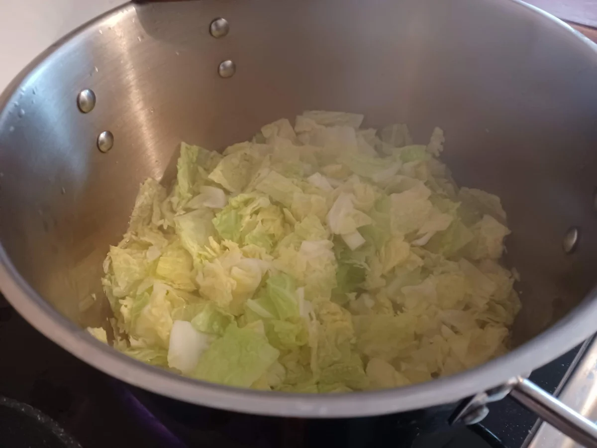 Lasagne mit Wirsing - Rezept - Bild Nr. 16851