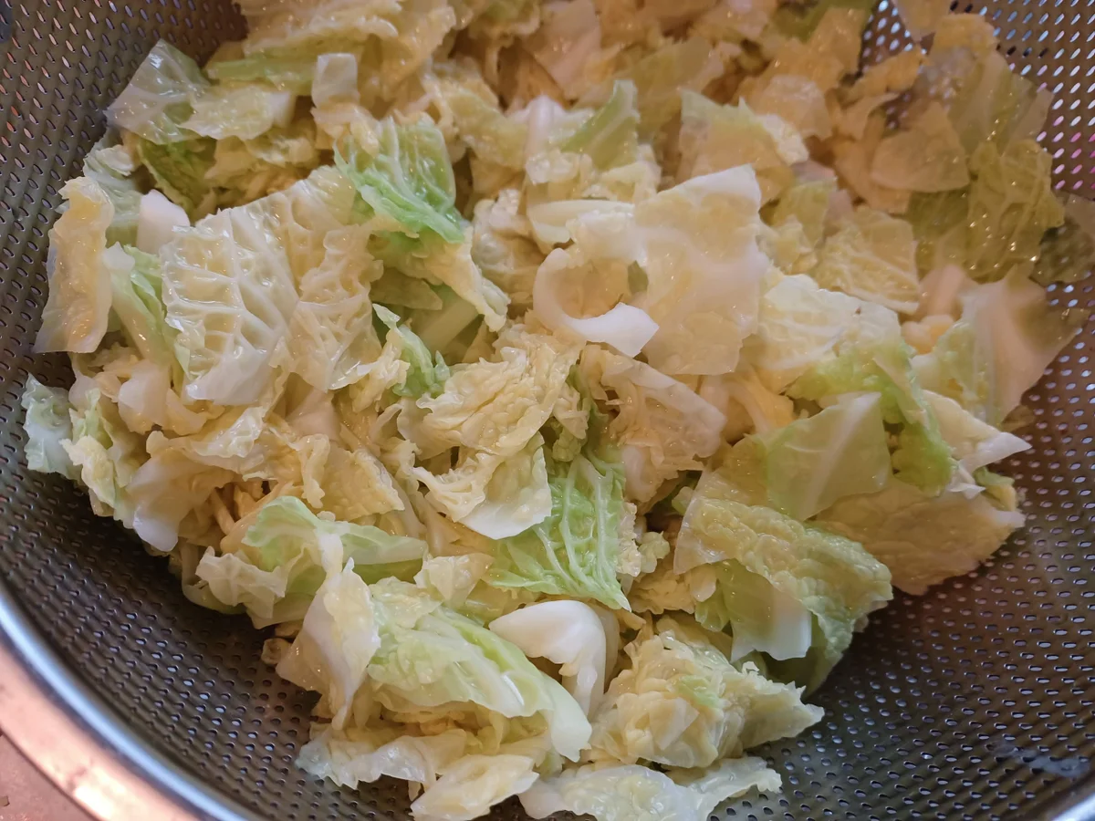 Lasagne mit Wirsing - Rezept - Bild Nr. 16853