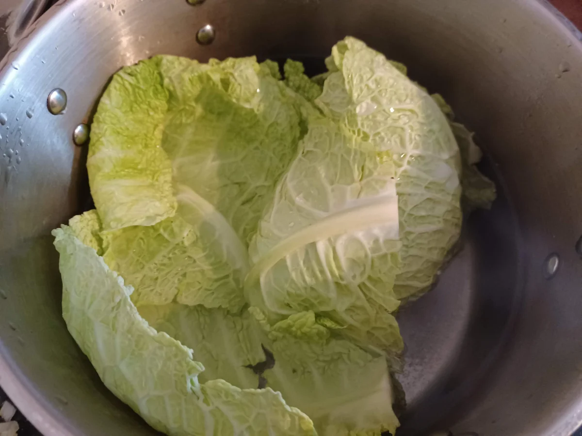 Lasagne mit Wirsing - Rezept - Bild Nr. 16854