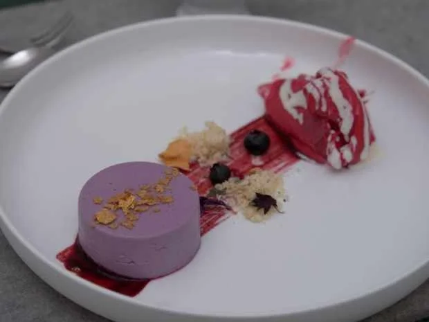 Blaubeeren-Panna Cotta mit Himbeersorbet und Vanille-Schokocreme - Rezept - Bild Nr. 2