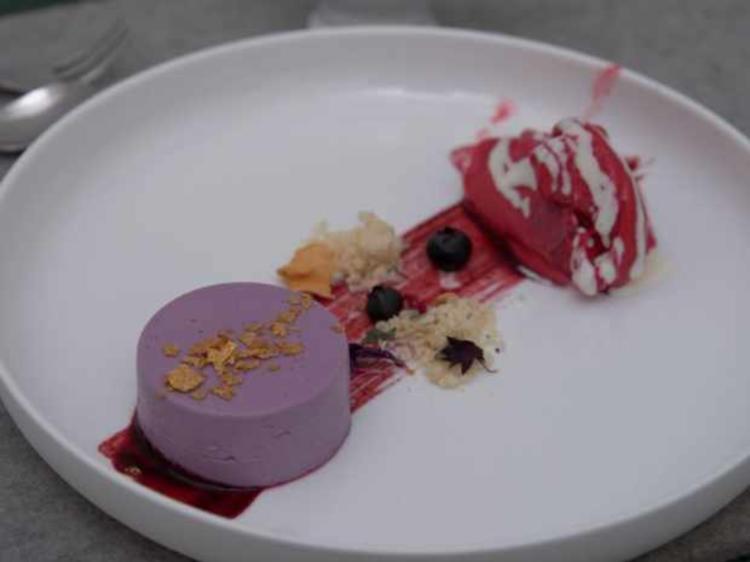Blaubeeren Panna Cotta mit Himbeersorbet und Vanille Schokocreme - von ...