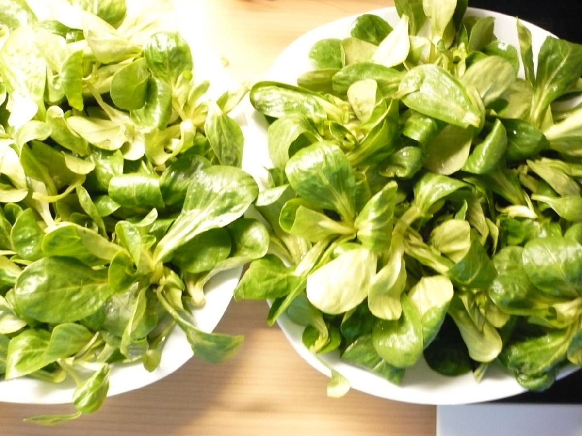 Feldsalat mit geräucherter Forelle - schnell &amp; einfach - von rollimops