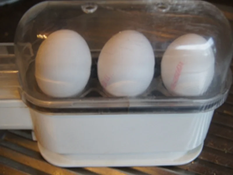 Eier in Senfsauce mit Zucchini-Tomaten-Gemüse und Drillingen - Rezept - Bild Nr. 16865