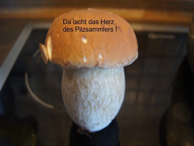 Rezept: Schweinefilet-Steinpilz-Pfanne mit Drillingen Bild Nr. 16865 Schweinefilet-Steinpilz-Pfanne mit Drillingen - Rezept - Bild Nr. 16865