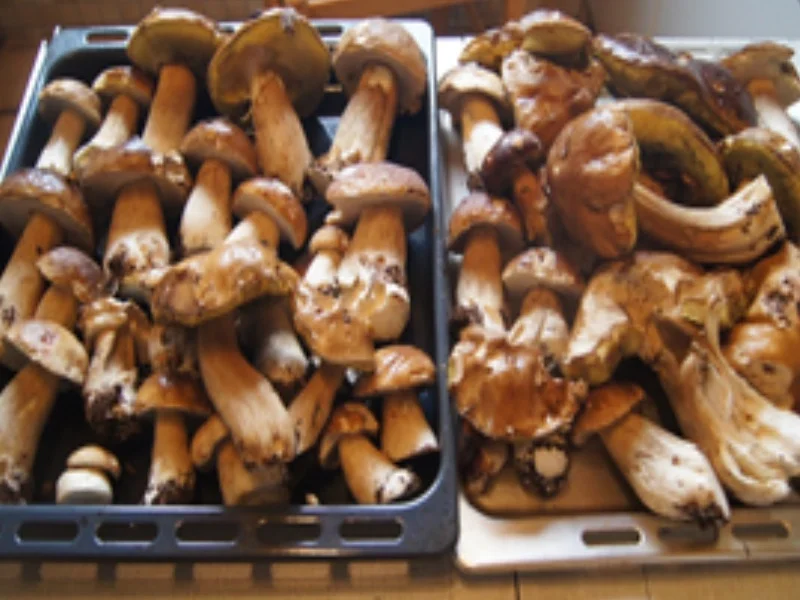 Steinpilz-Schinken-Omelett mit Pimentos - Rezept - Bild Nr. 3