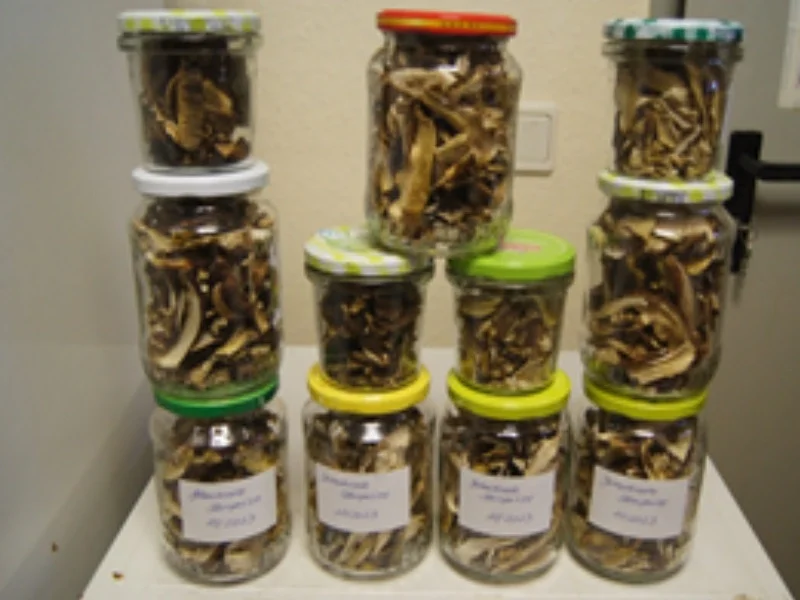 Getrocknete Steinpilze - Rezept - Bild Nr. 2