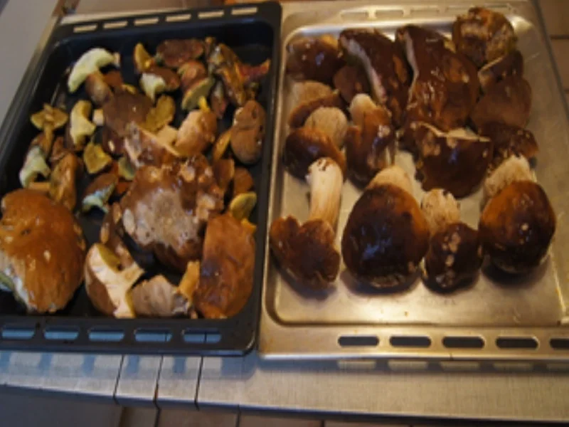 Getrocknete Steinpilze - Rezept - Bild Nr. 4