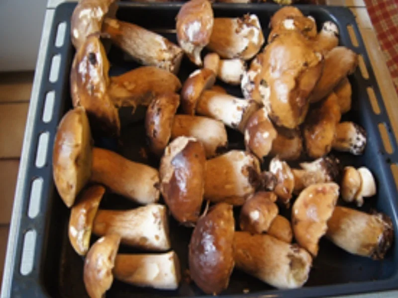 Getrocknete Steinpilze - Rezept - Bild Nr. 6