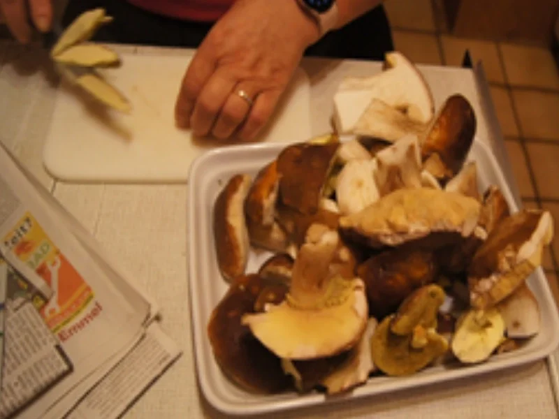 Getrocknete Steinpilze - Rezept - Bild Nr. 7