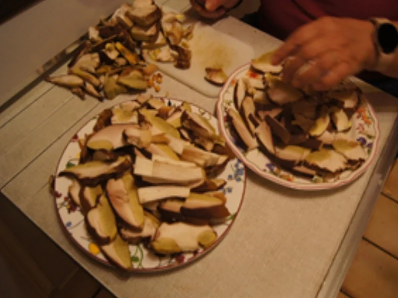 Getrocknete Steinpilze - Rezept - Bild Nr. 9