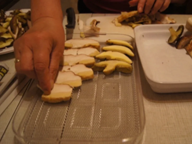 Getrocknete Steinpilze - Rezept - Bild Nr. 10