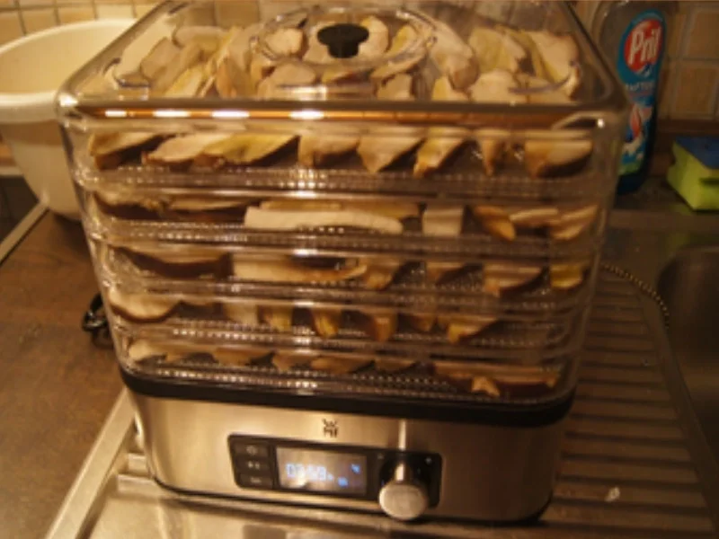 Getrocknete Steinpilze - Rezept - Bild Nr. 11