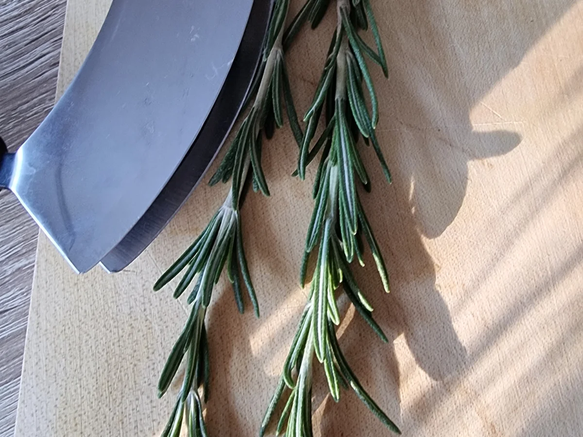 Pizza-Bianca mit Kartoffeln und Zucchini - Rezept - Bild Nr. 16872