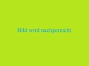 Inabs Knäckebrot - Rezept - Bild Nr. 16872