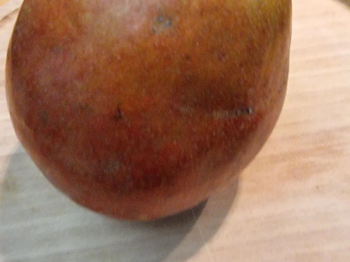 Camembert-Burger - Rezept - Bild Nr. 16881