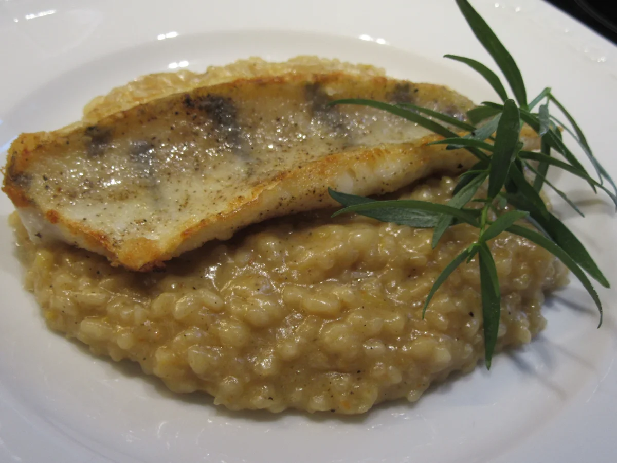 Rezept: Fisch: Zander auf Zitronenrisotto Bild Nr. 16872 Fisch: Zander auf Zitronenrisotto - Rezept - Bild Nr. 16872