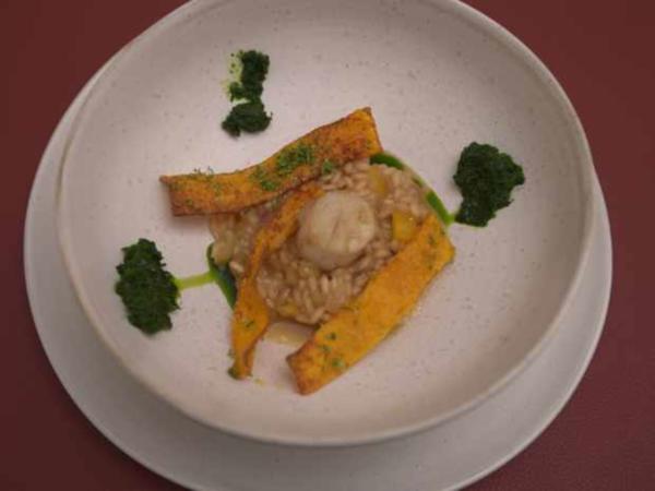 Risotto mit Jakobsmuschel und Kürbis - von Das perfekte Dinner Risotto mit Jakobsmuschel und Kürbis - von Das perfekte Dinner