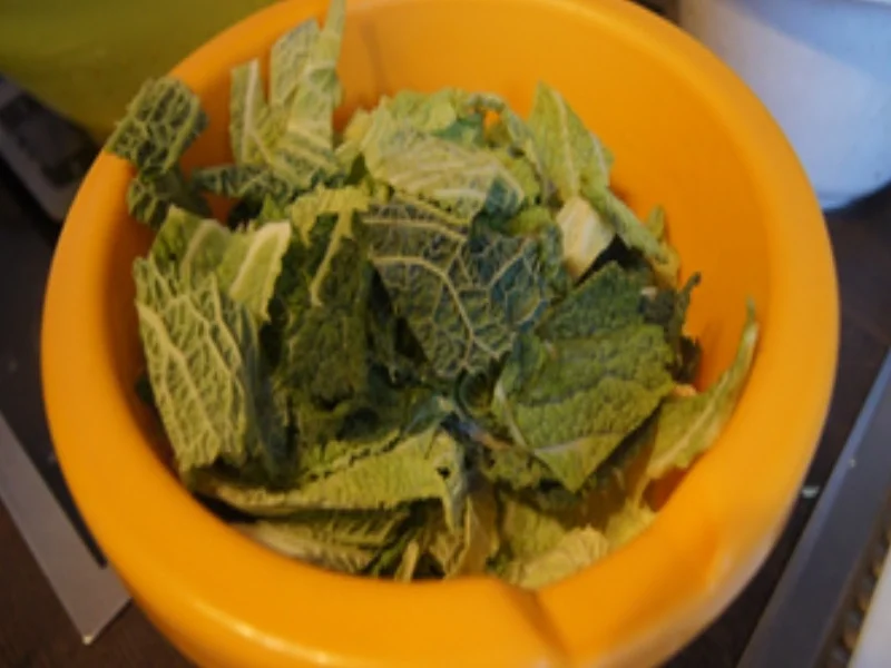 Rezept: Paniertes Nackenkotelett mit Rahm-Wirsing und Drillingen Bild Nr. 5 Paniertes Nackenkotelett mit Rahm-Wirsing und Drillingen - Rezept - Bild Nr. 5