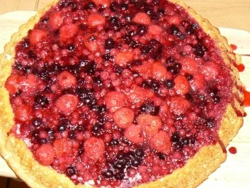 Rezept: schokoladiger Obstboden mit Waldbeeren schokoladiger Obstboden mit Waldbeeren - Rezept