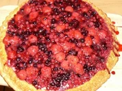 schokoladiger Obstboden mit Waldbeeren - Rezept