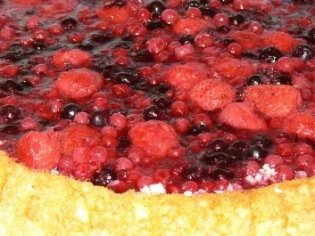 Rezept: schokoladiger Obstboden mit Waldbeeren schokoladiger Obstboden mit Waldbeeren - Rezept