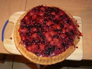 Rezept: schokoladiger Obstboden mit Waldbeeren schokoladiger Obstboden mit Waldbeeren - Rezept