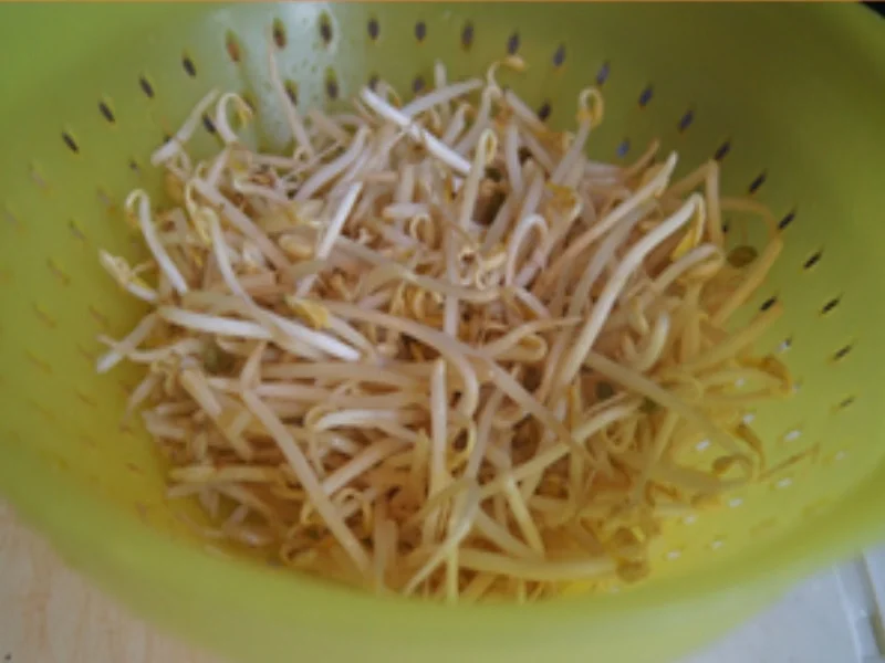 Frittiertes Schweinefilet auf Mie-Nudeln mit Sojabohnensprossen - Rezept - Bild Nr. 16897