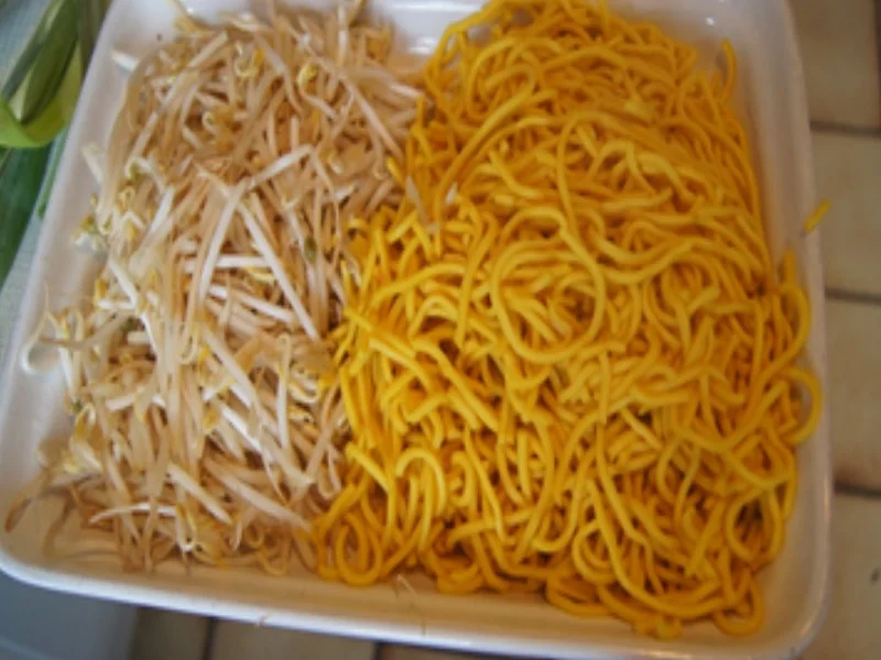 Frittiertes Schweinefilet auf Mie-Nudeln mit Sojabohnensprossen - Rezept - Bild Nr. 16898