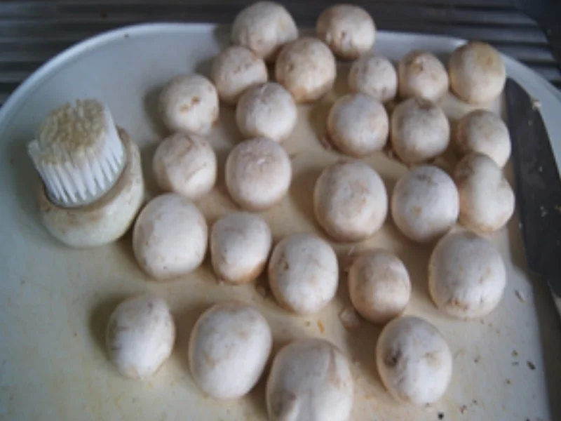 Hähnchenbrustfilet mit Champignons und Basmatireis - Rezept - Bild Nr. 16888