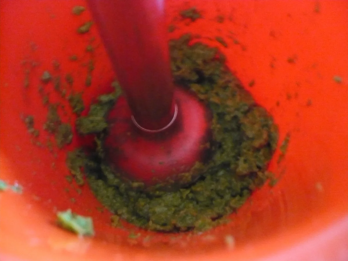 Jacobsmuscheln auf Erbsenpüree - Rezept - Bild Nr. 16891