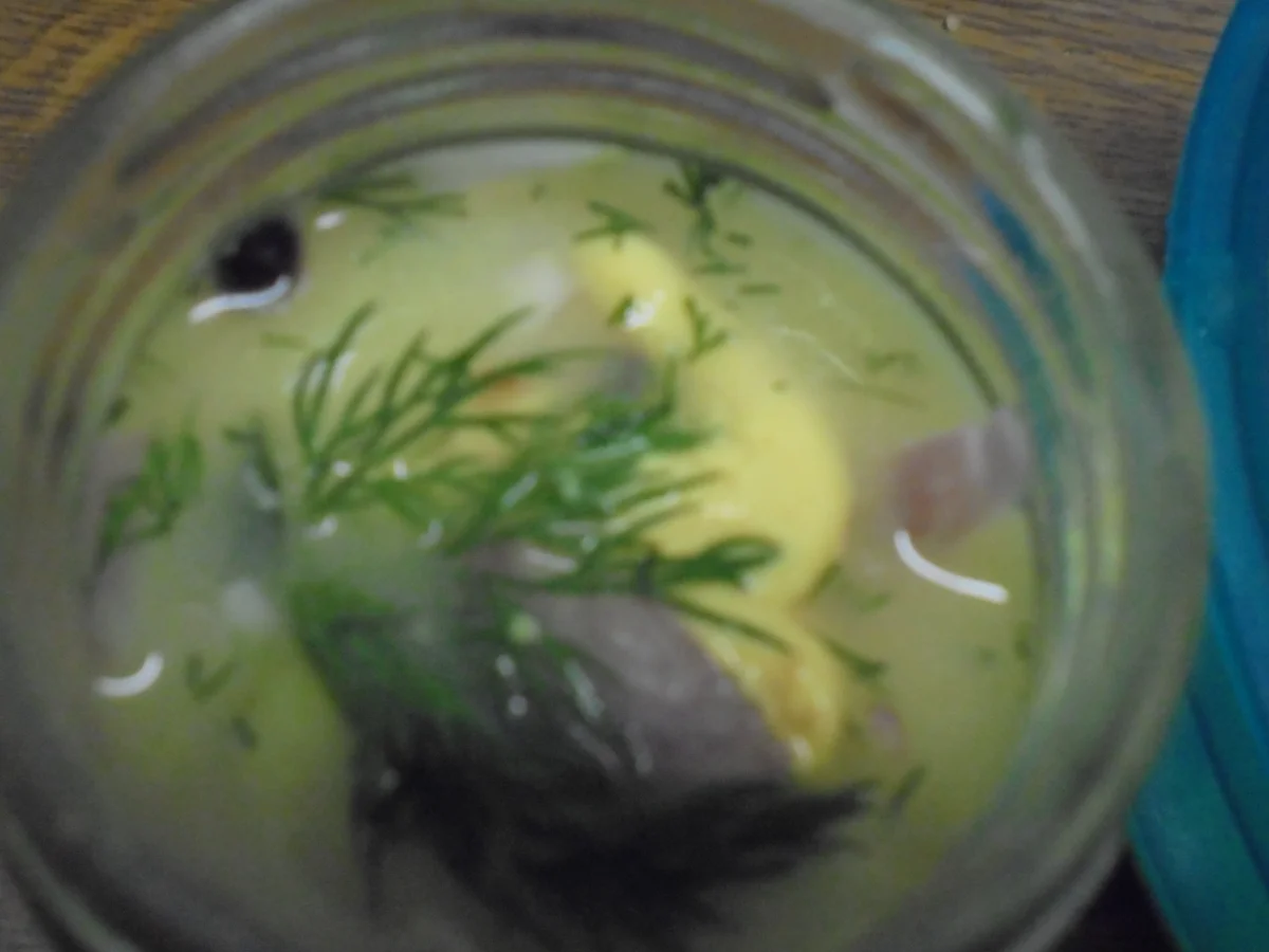 Rezept: Senfgurken Bild Nr. 16892 Senfgurken - Rezept - Bild Nr. 16892