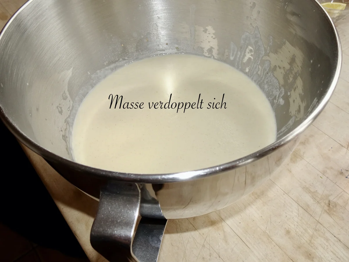 Böhmische Knödel - Rezept - Bild Nr. 16907