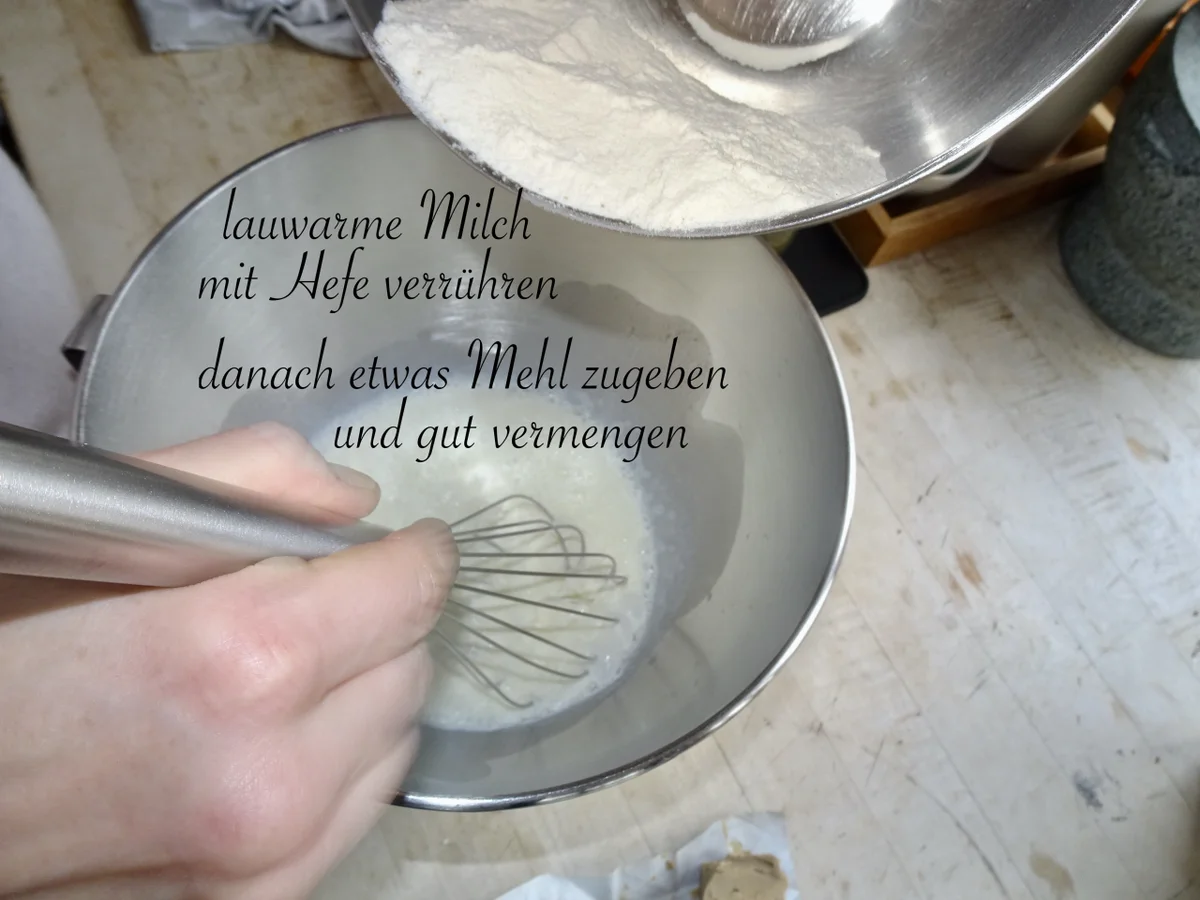 Böhmische Knödel - Rezept - Bild Nr. 16906