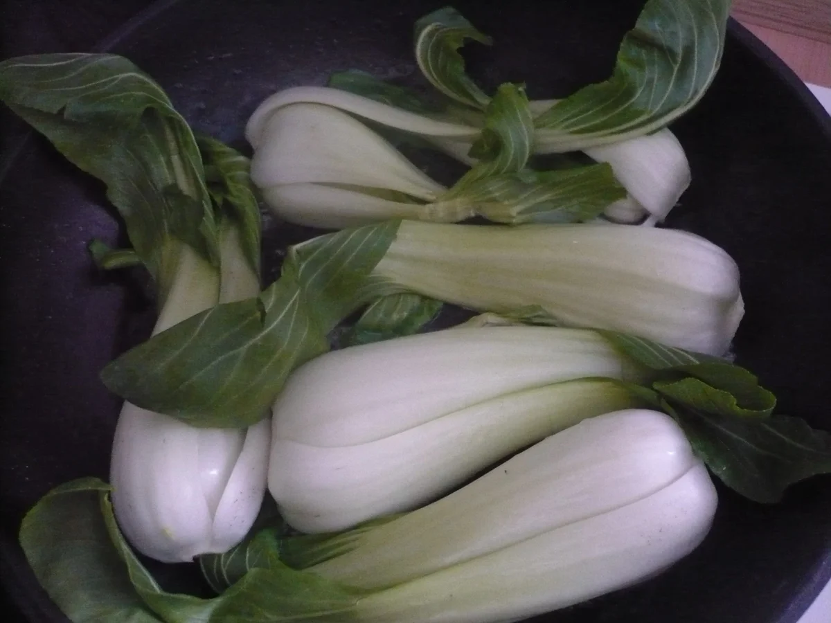 Rezept: Asiatischer Schweinebauch mit Pak Choi Bild Nr. 16897 Asiatischer Schweinebauch mit Pak Choi - Rezept - Bild Nr. 16897