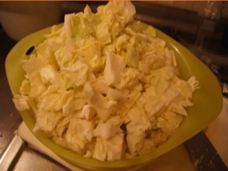 Wirsing-Eintopf - Rezept - Bild Nr. 16899