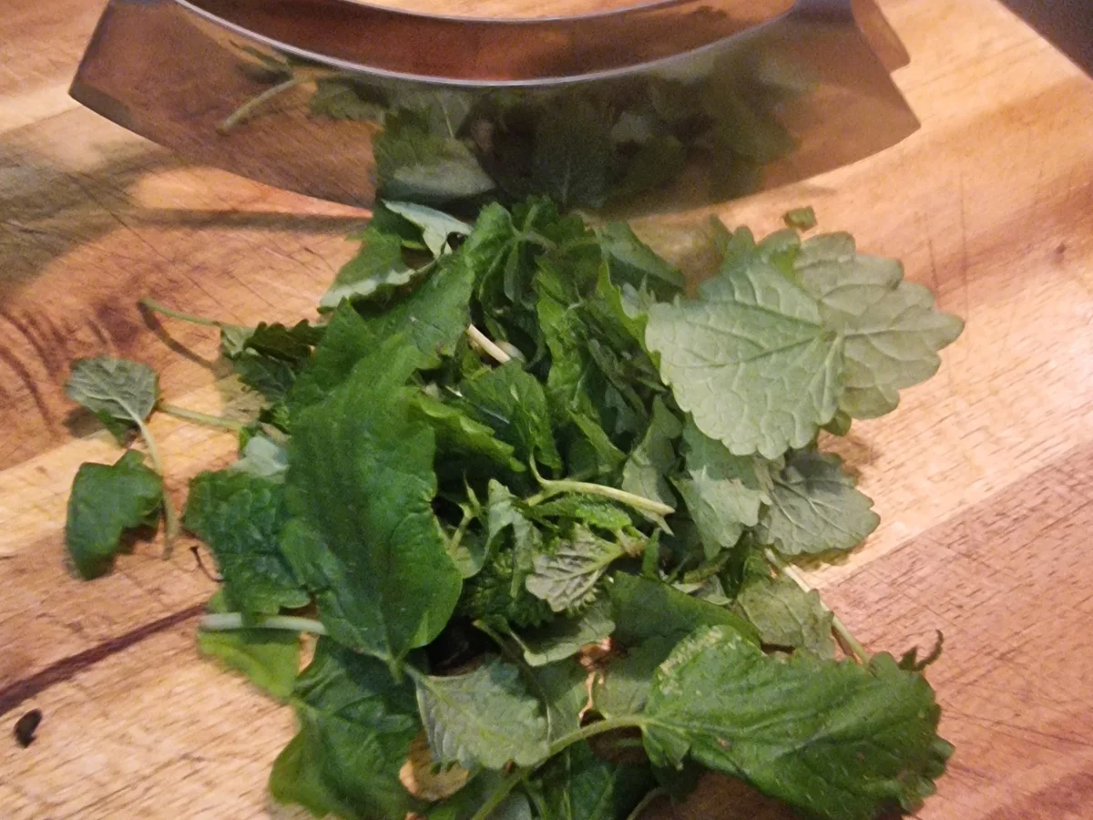 Rezept: Lebkuchenschnitten Bild Nr. 16907 Lebkuchenschnitten - Rezept - Bild Nr. 16907