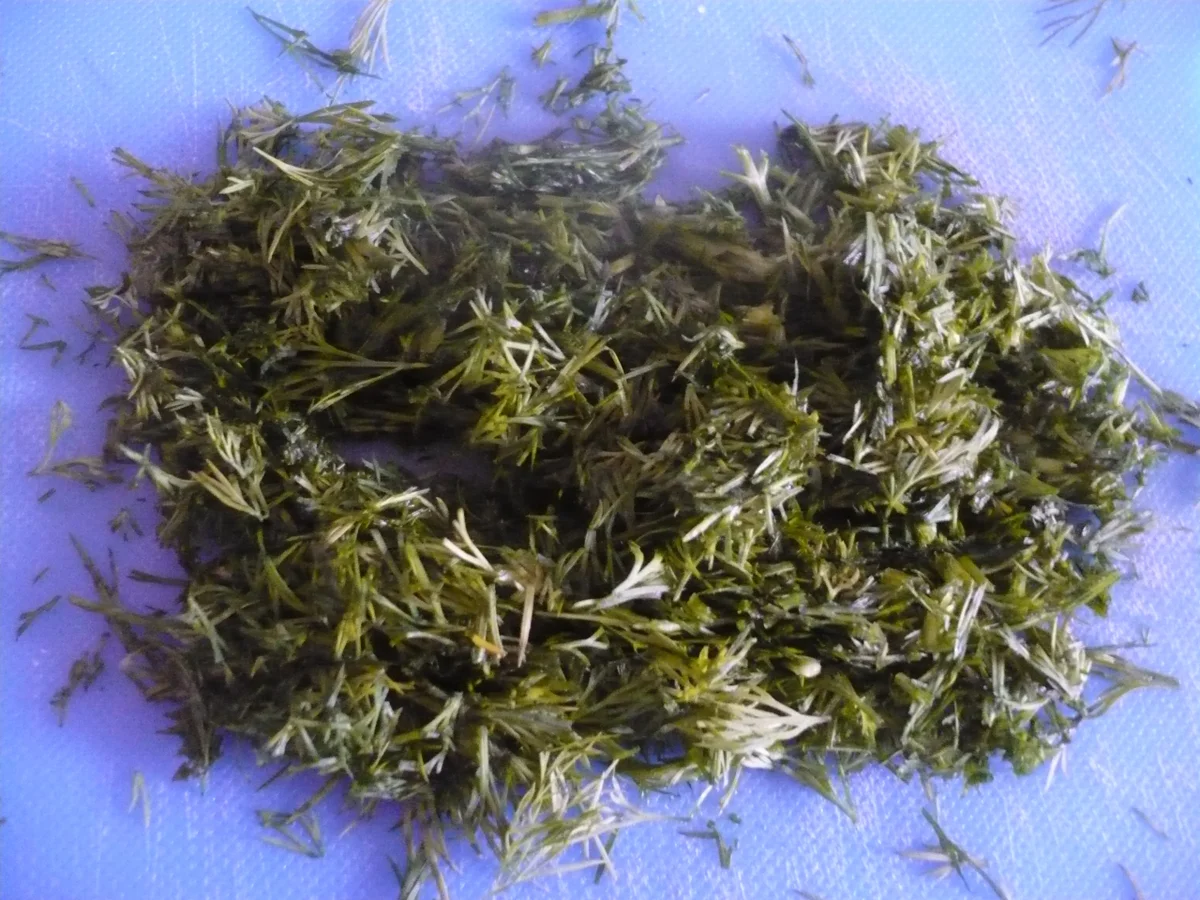 Gebratener Lachs in Honig-Senfsauce - Rezept - Bild Nr. 5