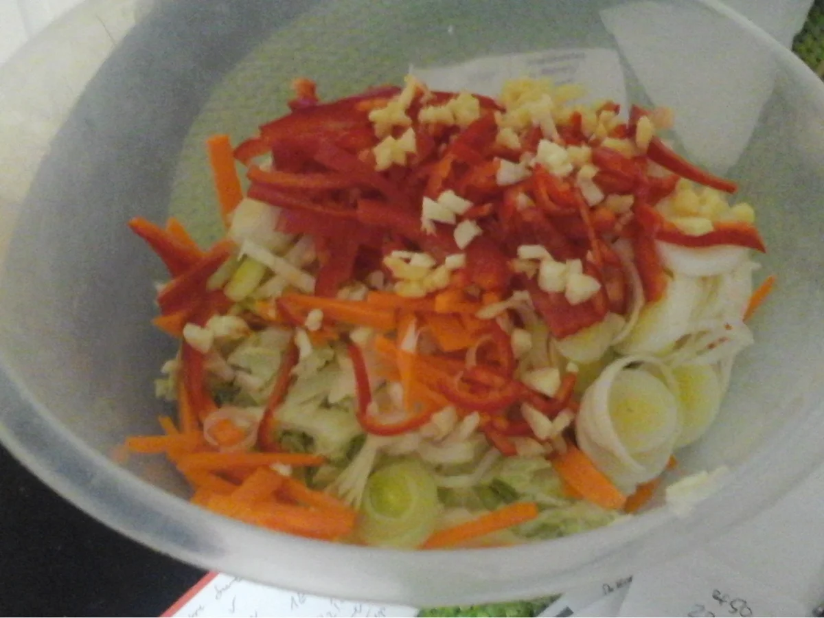 Rezept: Hähnchenbrustfilet mit Wok-Gemüsemix süß-sauer, Eierstreifen und Mie-Nudeln Bild Nr. 16900 Hähnchenbrustfilet mit Wok-Gemüsemix süß-sauer, Eierstreifen und Mie-Nudeln - Rezept - Bild Nr. 16900