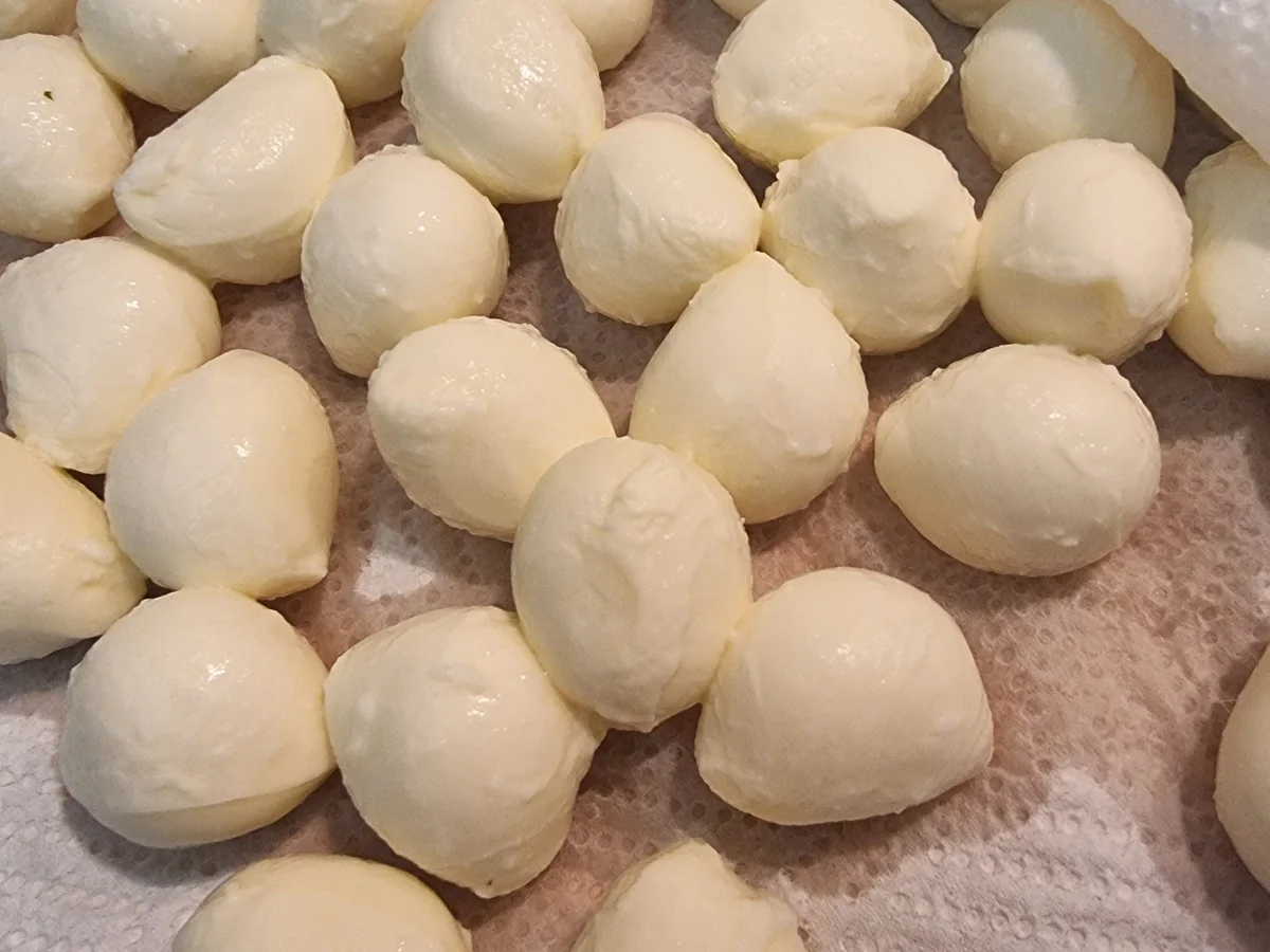 Marinierter Mozzarella - Rezept - Bild Nr. 16896