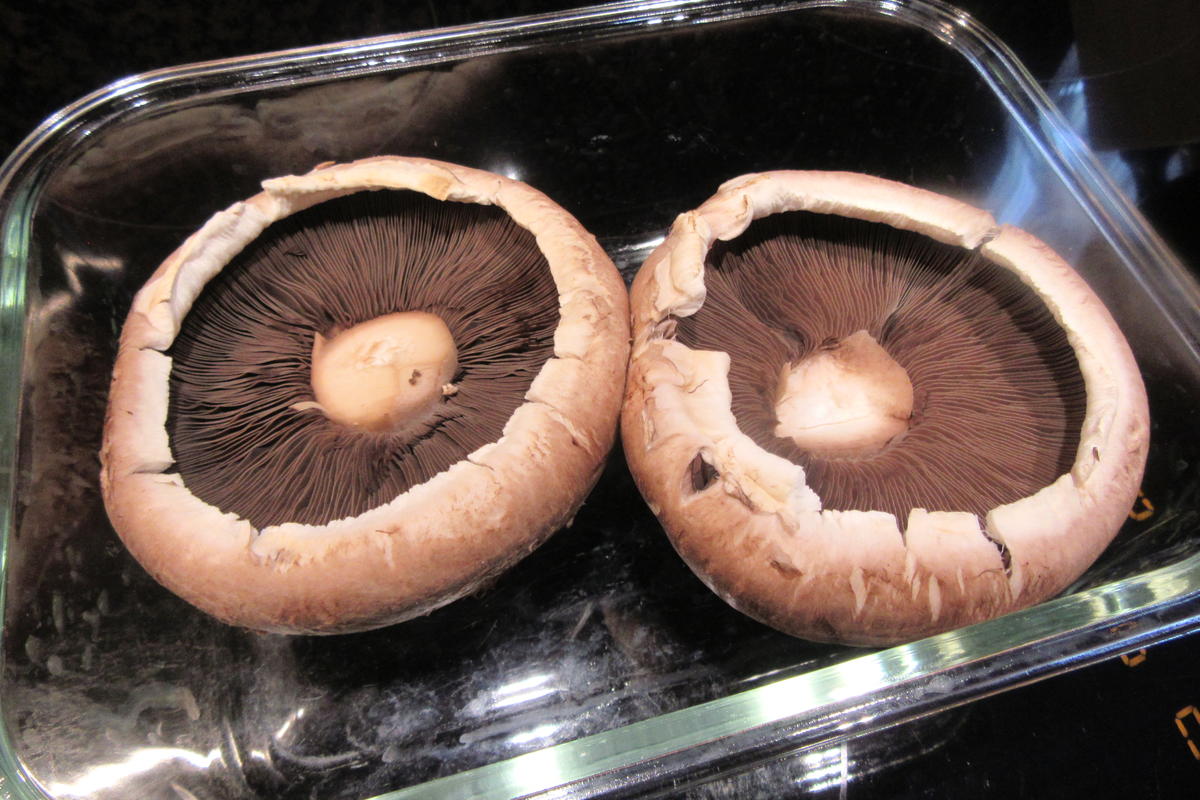 Pilze: Portobello ripieno - Rezept - Bild Nr. 16897