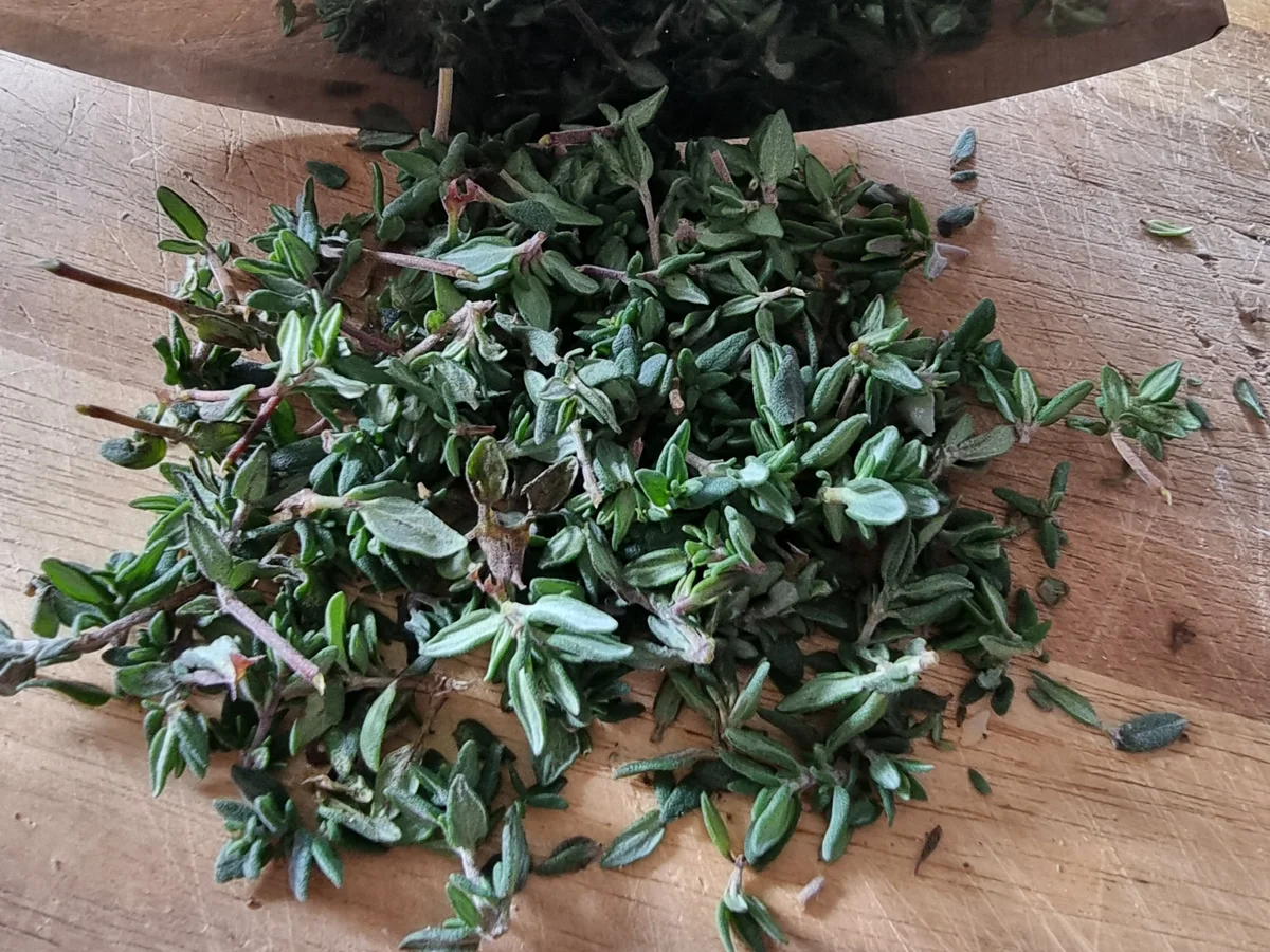 Rezept: Kartoffel-Steckrüben-Rösti mit Fenchelsalat Bild Nr. 16899 Kartoffel-Steckrüben-Rösti mit Fenchelsalat - Rezept - Bild Nr. 16899