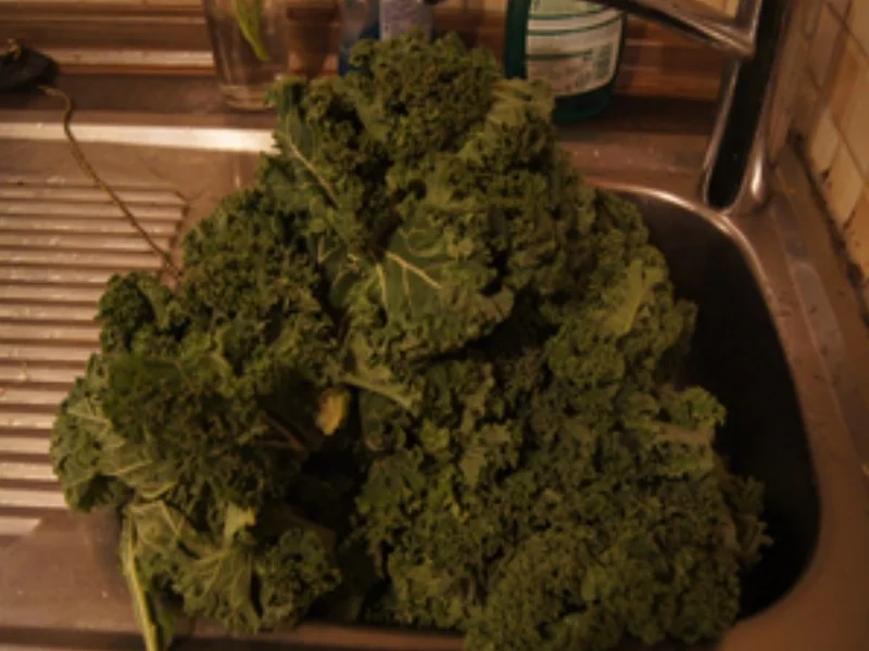 Brauner Kohl 2024 mit deftiger Beilage und Salzkartoffeln - Rezept - Bild Nr. 16901